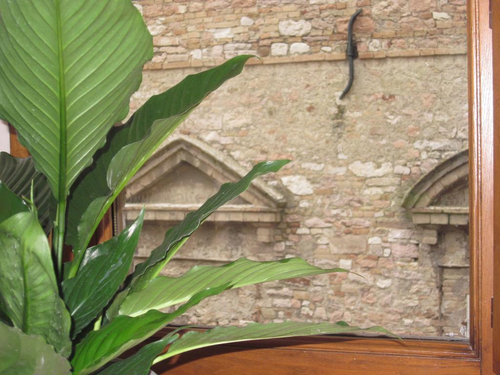 Hotel Helios Assisi Zimmer foto
